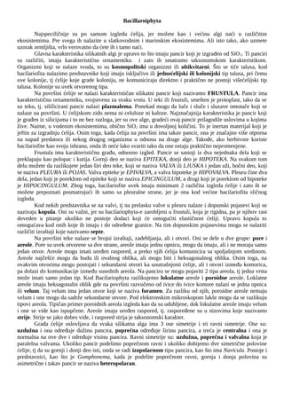 Sistematika algi: bacillariophyta, pheophyta, euglenophyta i chlorophyta