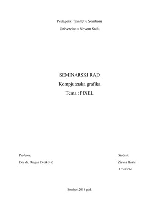 Piksel: seminarski rad o kompjuterskoj grafici