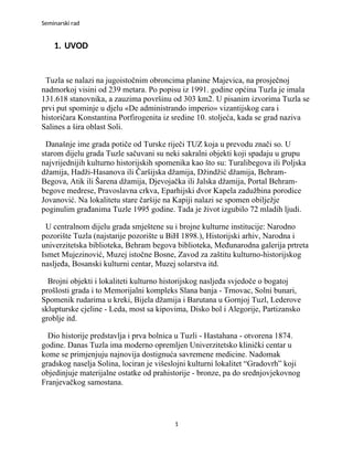 Geomorfološke i geografske karakteristike tuzle