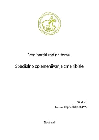 Specijalno oplemenjivanje crne ribizle