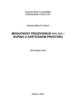 Mogućnost proizvodnje malina i kupina u zaštićenom području