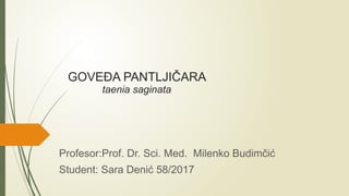 Goveđa pantljičara