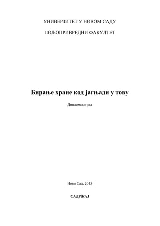 Biranje hrane kod jagnjadi u tovu