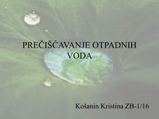 Prečišćavanje otpadnih voda