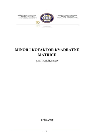 Minori i kofaktori kvadratne matrice