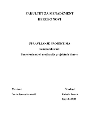 Funkcionisanje i motivacija projektnih timova