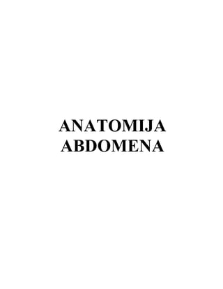 Anatomija abdomena