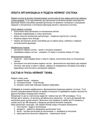Opšta morfologija CNS