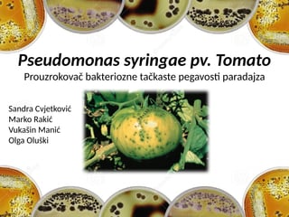 Pseudomonas syringae pv.tomato