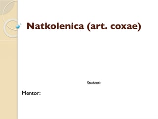 Natkolenica