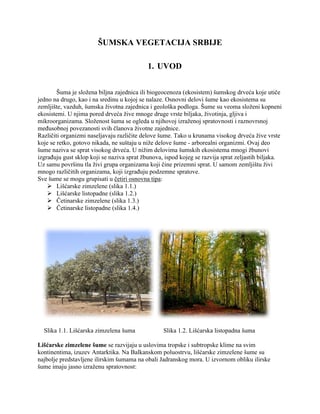 Šumska vegetacija Srbije: analiza diverziteta i značaja