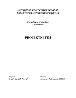 Projektni tim